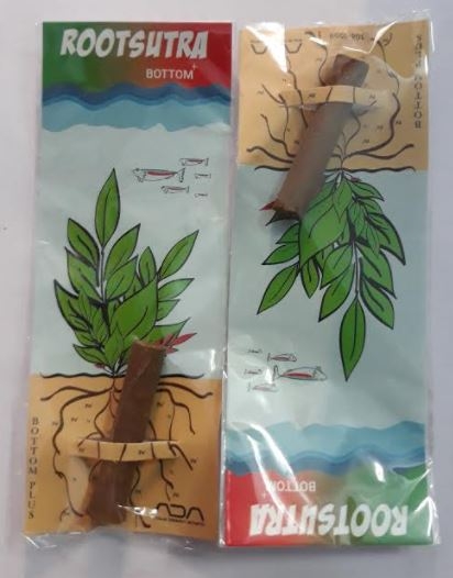 Ada Rootsutra Bottom Plus