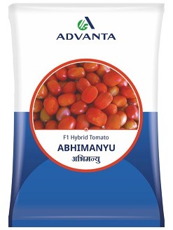 Advanta Abhimanyu F1 Hybrid Tomato Seeds