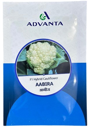 Advanta F1 Hybrid Aabira Cauliflower Seeds