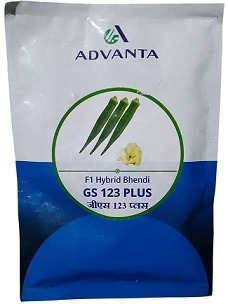 Advanta GS 123 Plus F1 Hybrid Bhendi Seeds