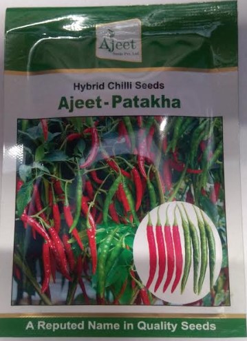 Ajeet Patakha Hybrid Chilli Seeds
