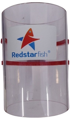 Fish Feeding Station