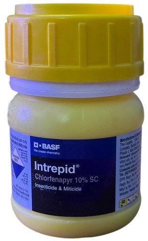 BASF Intrepid Insecticide 100ml