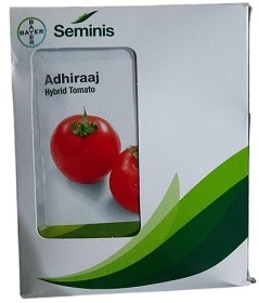 Bayer Seminis Adhiraaj Hybrid Tomato Seeds