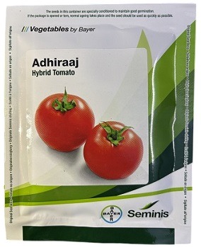 Bayer Seminis Adhiraaj Hybrid Tomato Seeds