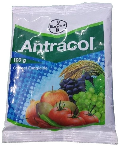 Bayer Antracol Fungicide