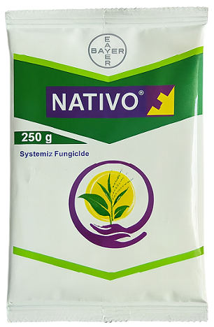 Bayer Nativo Systemic Fungicide
