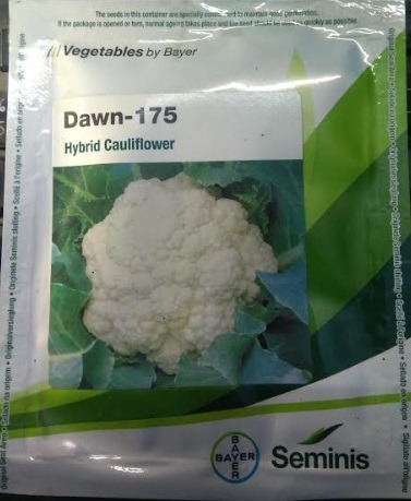 Bayer Seminis DAWN 175 Hybrid Cauliflower Seeds