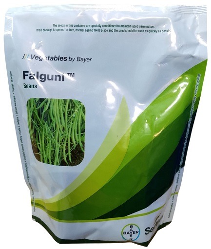 BAYER Seminis FALGUNI Beans Hybrid Seed