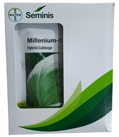 Bayer Seminis Millenium 111 Hybrid Cabbage Seeds