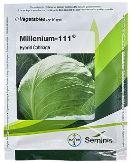Bayer Seminis Millenium 111 Hybrid Cabbage Seeds