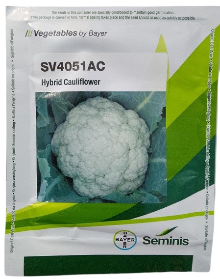 Bayer Seminis SV4051AC Hybrid Cauliflower Seeds