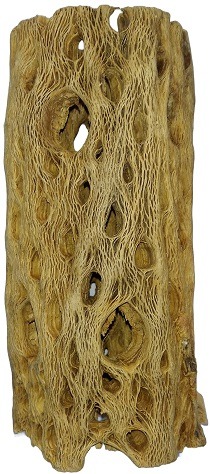 Big Cholla Wood Organic Natural Shrimp Shelter