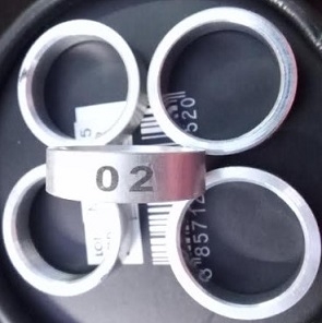 Blue Gold Macaw Umbrella Cockatoo Adult Parrot Aluminum Number Ring 5 Pc Set