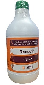 Brihans Recovit Multivitamin Supplement