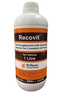 Brihans Recovit Multivitamin Supplement