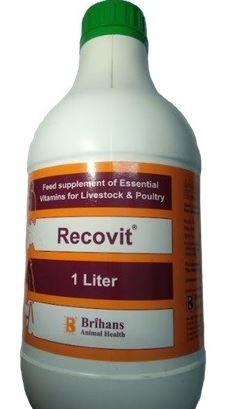 Brihans Recovit Multivitamin Supplement