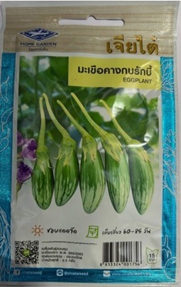 Chia Tai Home Garden Eggplant Maku Green Seeds