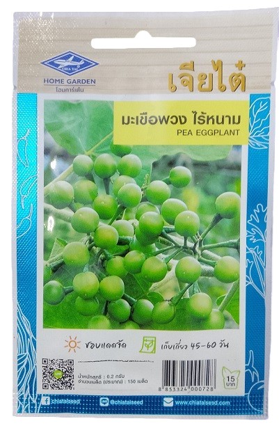 Chia Tai Home Garden Pea Eggplant Seeds