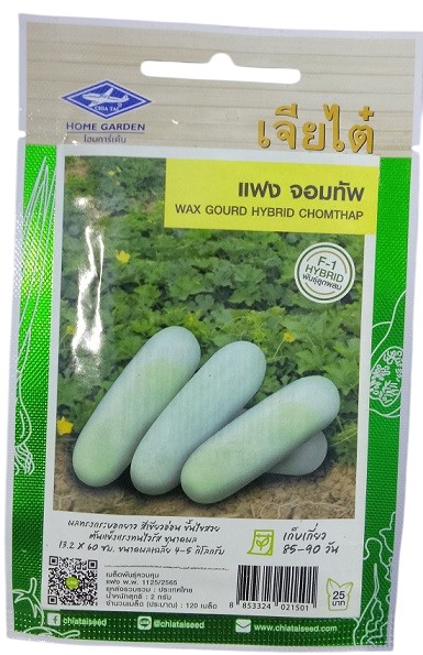 Chia Tai Home Garden Hybrid Wax Gourd Seeds
