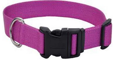 Dog Nylon Collar