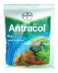 BAYER Antracol Fungicide