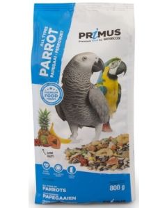 Benelux Primus Parrot