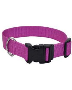 Dog Nylon Collar