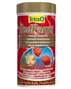 Tetra Red Parrot 