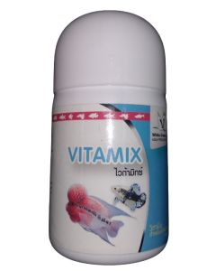 White Crane Vitamix