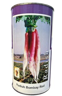 Durga Bombay Hybrid Half Red Radish Seeds