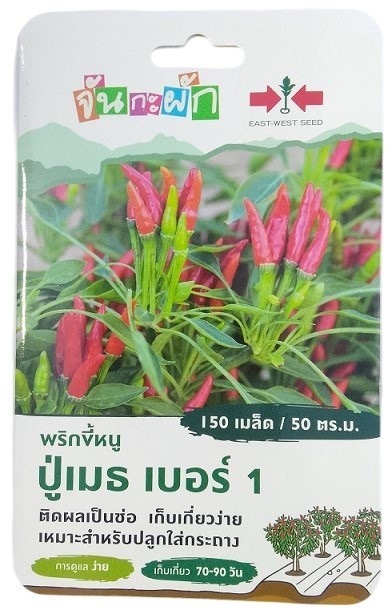 East West Seed Birds Eye Chilli Grandpa Meru Number 1 Seeds