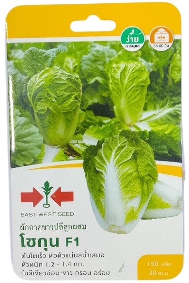 East West Seed Hybrid Cabbage Shogun F1 Seeds