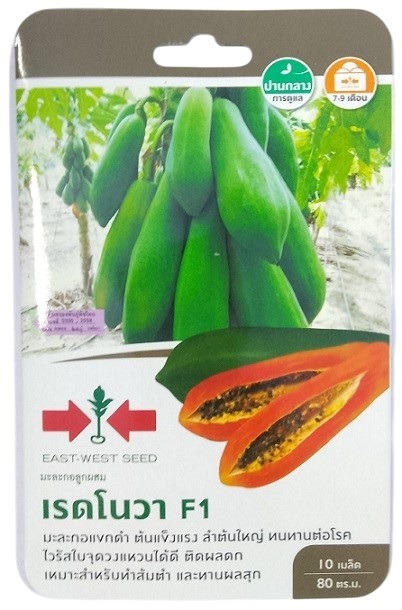 East West Seed Hybrid Papaya Red Nova F1 Seeds