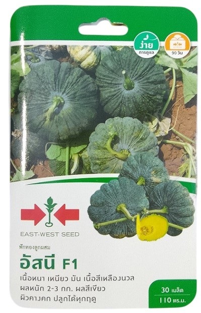 East West Seed Hybrid Pumpkin Asanee F1 Seeds