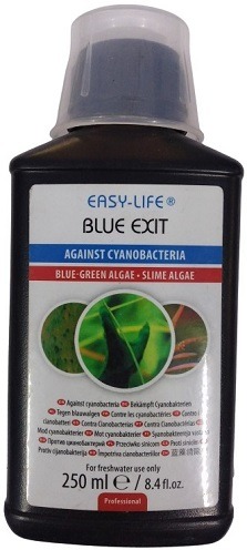 Easy Life Blue Exit