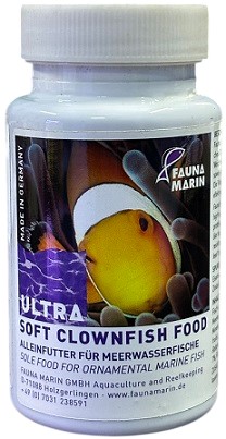 Fauna Marin Soft Clownfish