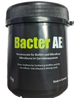 Glasgarten Bacter AE