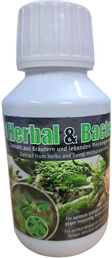 Glasgarten Salty Shrimp Herbal And Bacter