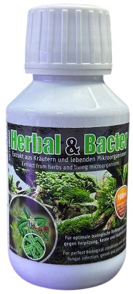 Glasgarten Salty Shrimp Herbal And Bacter