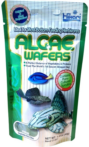 Hikari Algae Wafers
