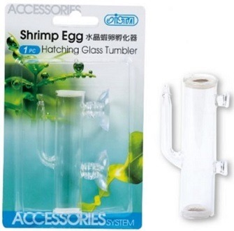 Ista Shrimp Egg Hatching Glass Tumbler