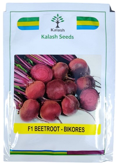 Kalash Seeds F1 Bikores Hybrid Beetroot Seeds