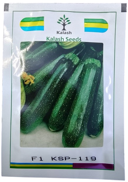 Kalash Seeds F1 Ksp 119 Long Dark Green Zucchini Squash