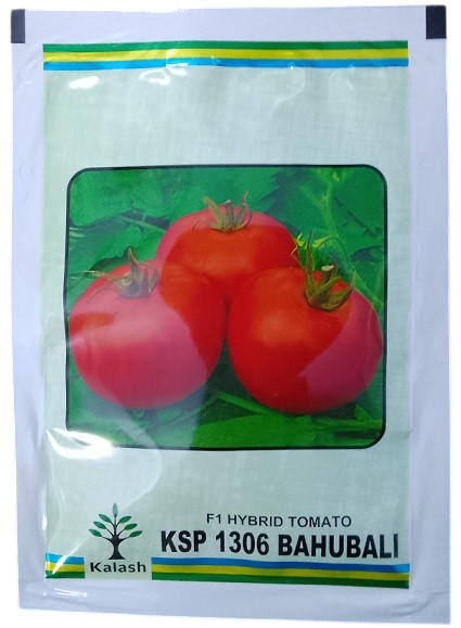 Kalash Seeds F1 KSP 1306 Bahubali Hybrid Tomato Seeds