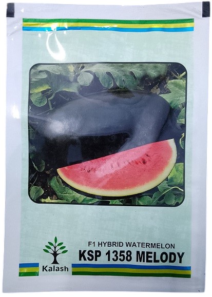 Kalash Seeds F1 Ksp 1358 Melody Watermelon Seeds