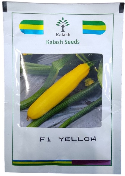 Kalash Seeds F1 Ksp 16 Yellow Zucchini Squash