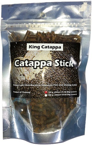 King Catappa Catappa Stick