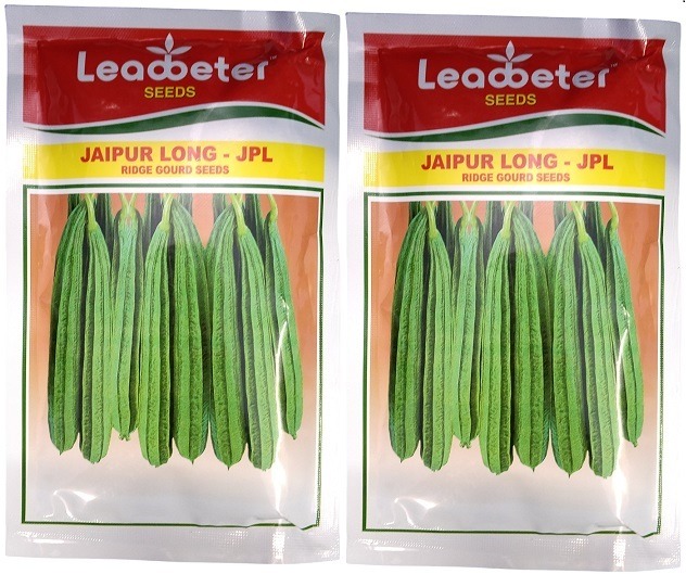 Leadbeter Jaipur Long JPL Ridge Gourd Seeds