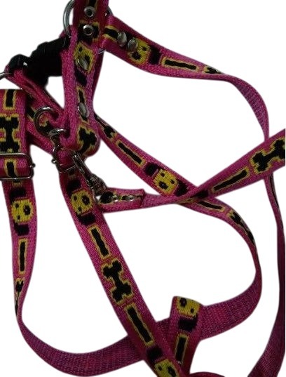 Nylon Dog Collar And Leash Set